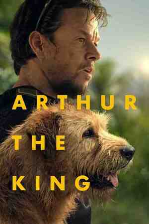 Koer Arthur Koer Arthur